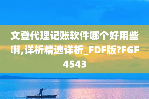 文登代理记账软件哪个好用些啊,详析精选详析_FDF版?FGF4543