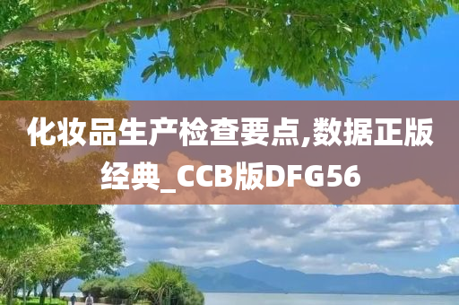 化妆品生产检查要点,数据正版经典_CCB版DFG56