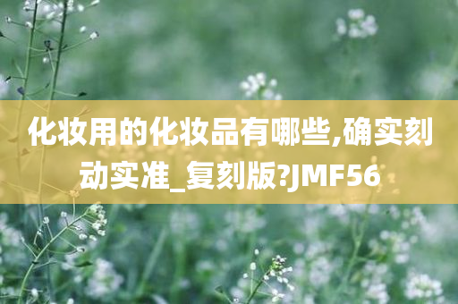 化妆用的化妆品有哪些,确实刻动实准_复刻版?JMF56