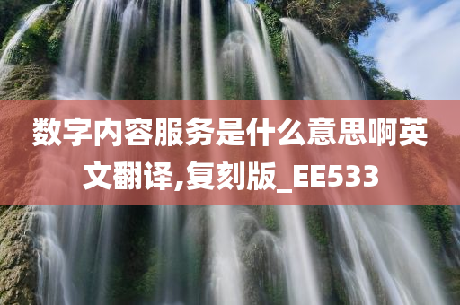 数字内容服务是什么意思啊英文翻译,复刻版_EE533