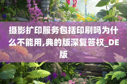 摄影扩印服务包括印刷吗为什么不能用,典的版深复答权_DE版