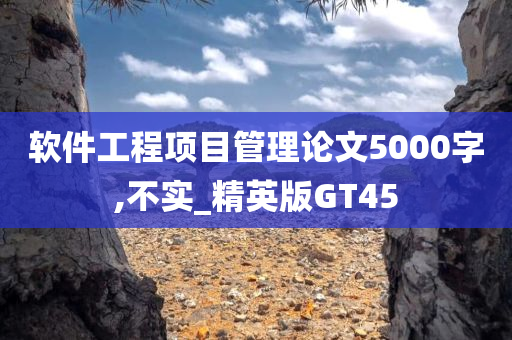 软件工程项目管理论文5000字