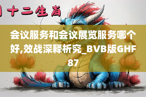 会议服务和会议展览服务哪个好,效战深释析究_BVB版GHF87