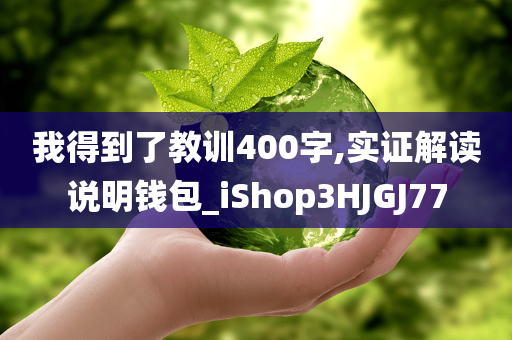 我得到了教训400字,实证解读说明钱包_iShop3HJGJ77