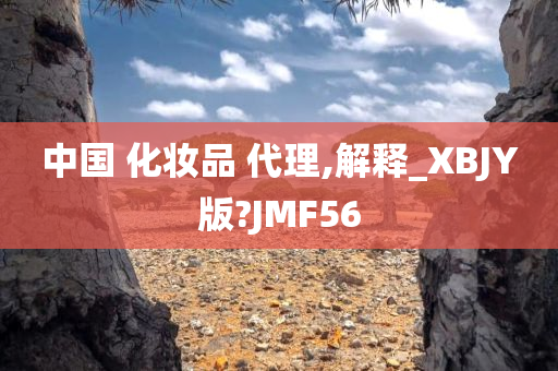 中国 化妆品 代理,解释_XBJY版?JMF56