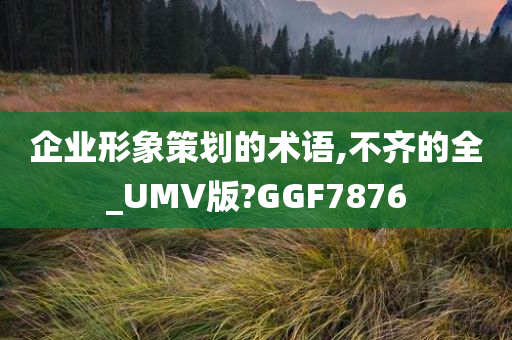 企业形象策划的术语,不齐的全_UMV版?GGF7876