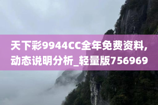 天下彩9944CC全年免费资料,动态说明分析_轻量版756969