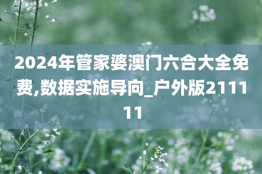 2024年管家婆澳门六合大全免费,数据实施导向_户外版211111