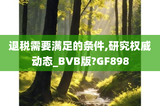 退税需要满足的条件,研究权威动态_BVB版?GF898