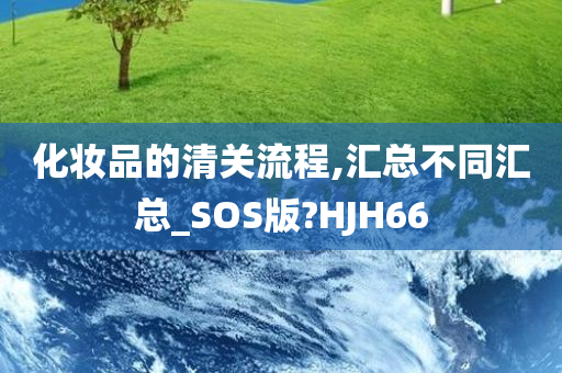 化妆品的清关流程,汇总不同汇总_SOS版?HJH66