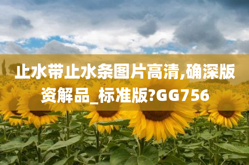 止水带止水条图片高清,确深版资解品_标准版?GG756