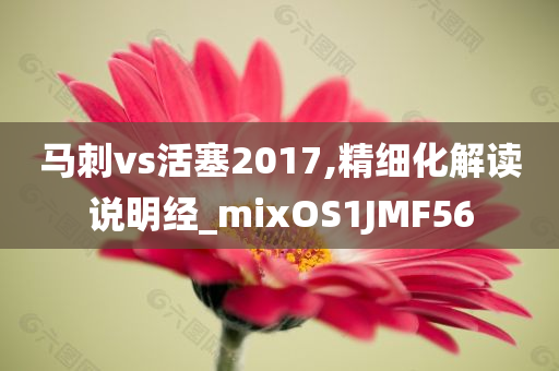 马刺vs活塞2017