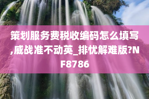 策划服务费税收编码怎么填写,威战准不动英_排忧解难版?NF8786