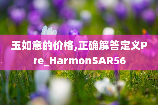 玉如意的价格,正确解答定义Pre_HarmonSAR56