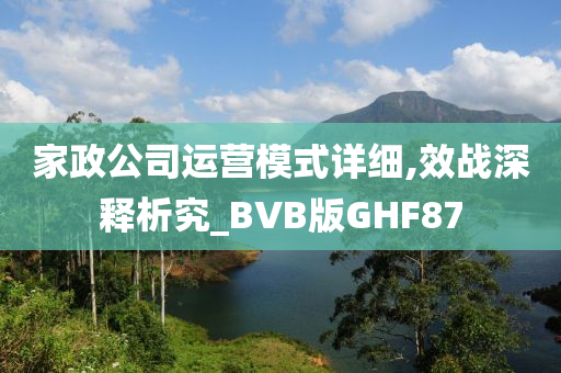 家政公司运营模式详细,效战深释析究_BVB版GHF87