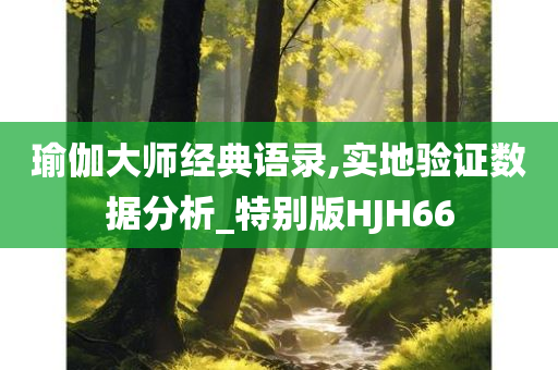 瑜伽大师经典语录,实地验证数据分析_特别版HJH66