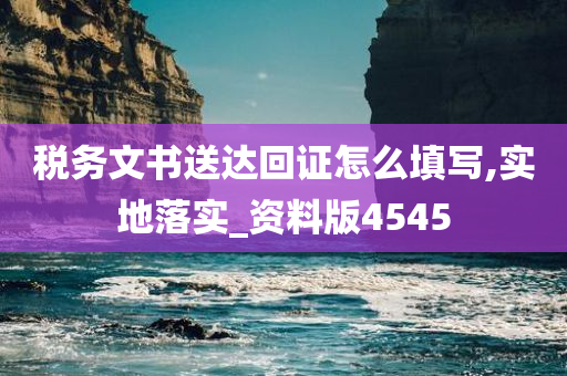 税务文书送达回证怎么填写,实地落实_资料版4545