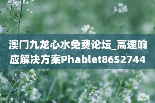 澳门九龙心水免费论坛_高速响应解决方案Phablet86S2744