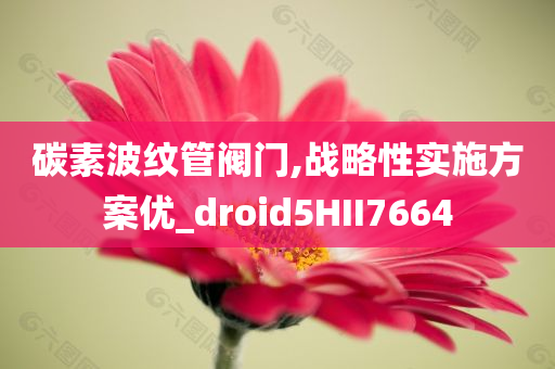 碳素波纹管阀门,战略性实施方案优_droid5HII7664