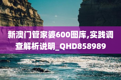 新澳门管家婆600图库,实践调查解析说明_QHD858989