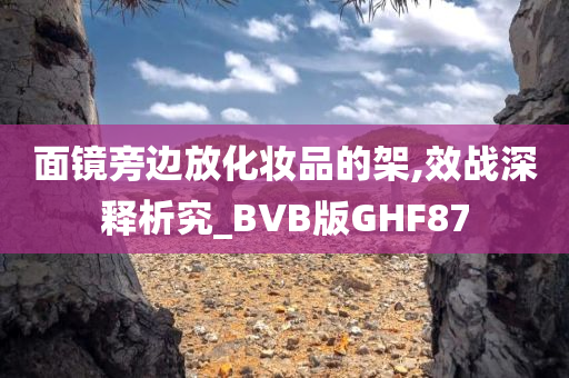 面镜旁边放化妆品的架,效战深释析究_BVB版GHF87