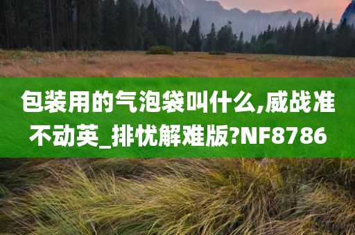 包装用的气泡袋叫什么,威战准不动英_排忧解难版?NF8786