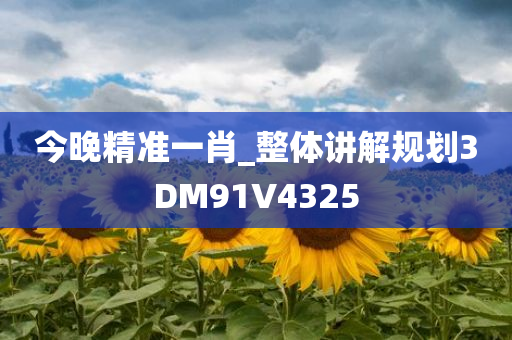 今晚精准一肖_整体讲解规划3DM91V4325