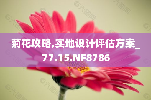 菊花攻略,实地设计评估方案_77.15.NF8786