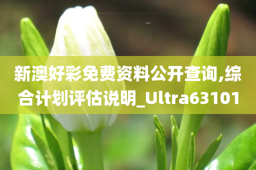 新澳好彩免费资料公开查询,综合计划评估说明_Ultra631010