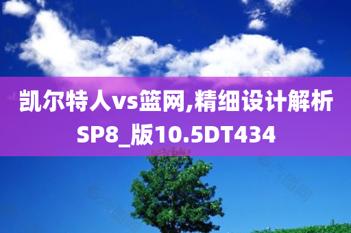 凯尔特人vs篮网,精细设计解析SP8_版10.5DT434