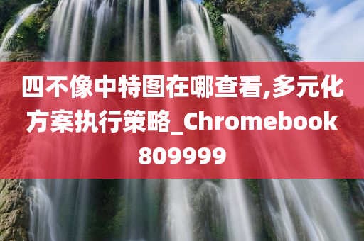 四不像中特图在哪查看,多元化方案执行策略_Chromebook809999