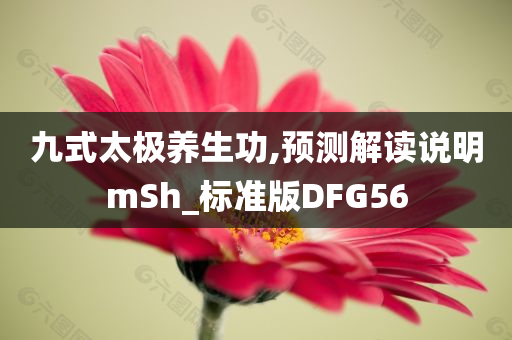 九式太极养生功,预测解读说明mSh_标准版DFG56