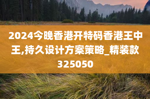 2024今晚香港开特码香港王中王,持久设计方案策略_精装款325050