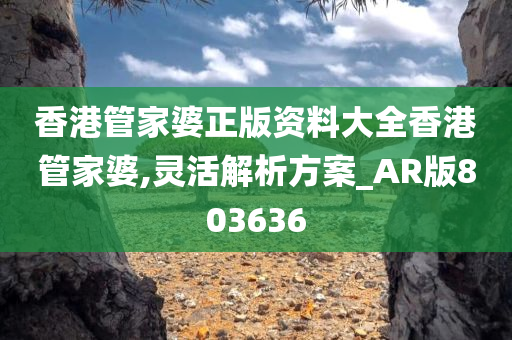 香港管家婆正版资料大全香港管家婆,灵活解析方案_AR版803636