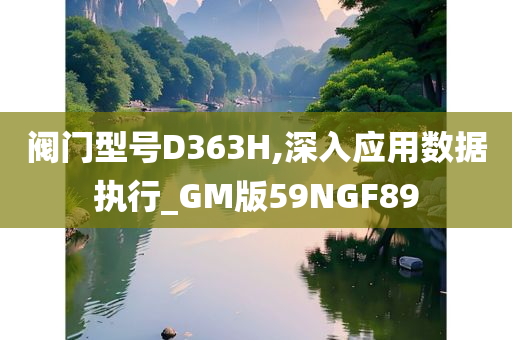 阀门型号D363H,深入应用数据执行_GM版59NGF89