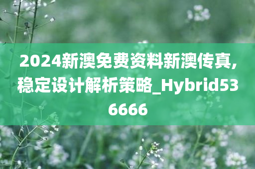 2024新澳免费资料新澳传真,稳定设计解析策略_Hybrid536666