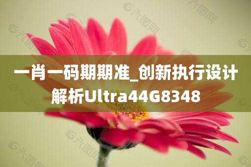 一肖一码期期准_创新执行设计解析Ultra44G8348