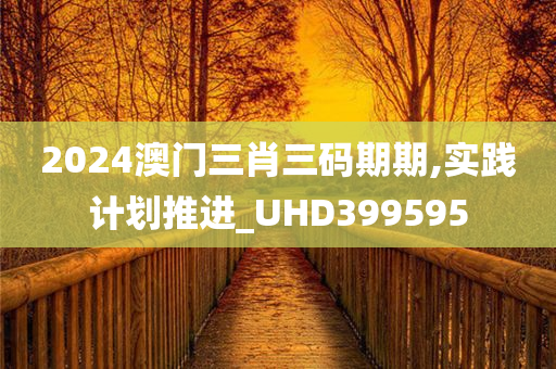 2024澳门三肖三码期期,实践计划推进_UHD399595