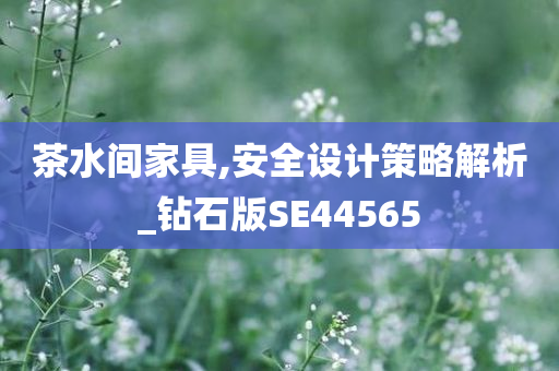 茶水间家具,安全设计策略解析_钻石版SE44565