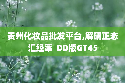 贵州化妆品批发平台,解研正态汇经率_DD版GT45