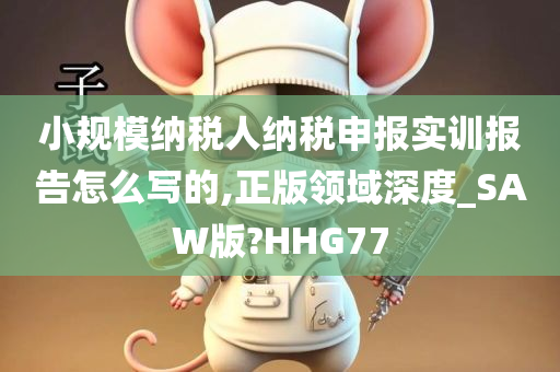 小规模纳税人纳税申报实训报告怎么写的,正版领域深度_SAW版?HHG77