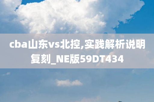 cba山东vs北控,实践解析说明复刻_NE版59DT434