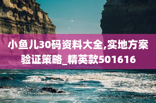 小鱼儿30码资料大全,实地方案验证策略_精英款501616