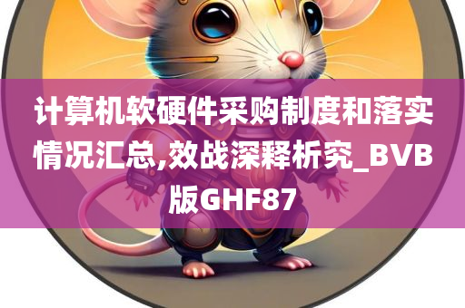 计算机软硬件采购制度和落实情况汇总,效战深释析究_BVB版GHF87