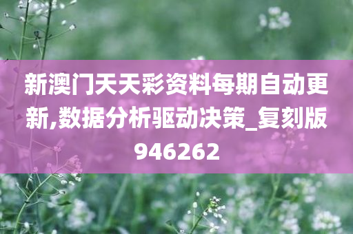 新澳门天天彩资料每期自动更新,数据分析驱动决策_复刻版946262