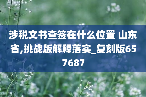 涉税文书查签在什么位置 山东省,挑战版解释落实_复刻版657687