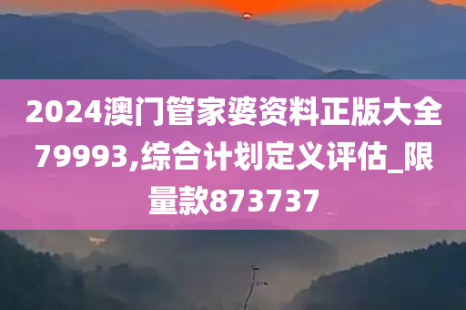 2024澳门管家婆资料正版大全79993,综合计划定义评估_限量款873737