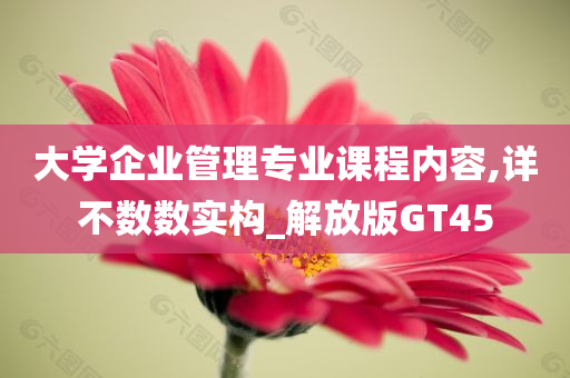 大学企业管理专业课程内容,详不数数实构_解放版GT45