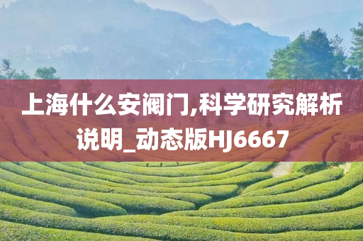 上海什么安阀门,科学研究解析说明_动态版HJ6667