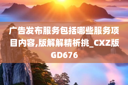 广告发布服务包括哪些服务项目内容,版解解精析挑_CXZ版GD676